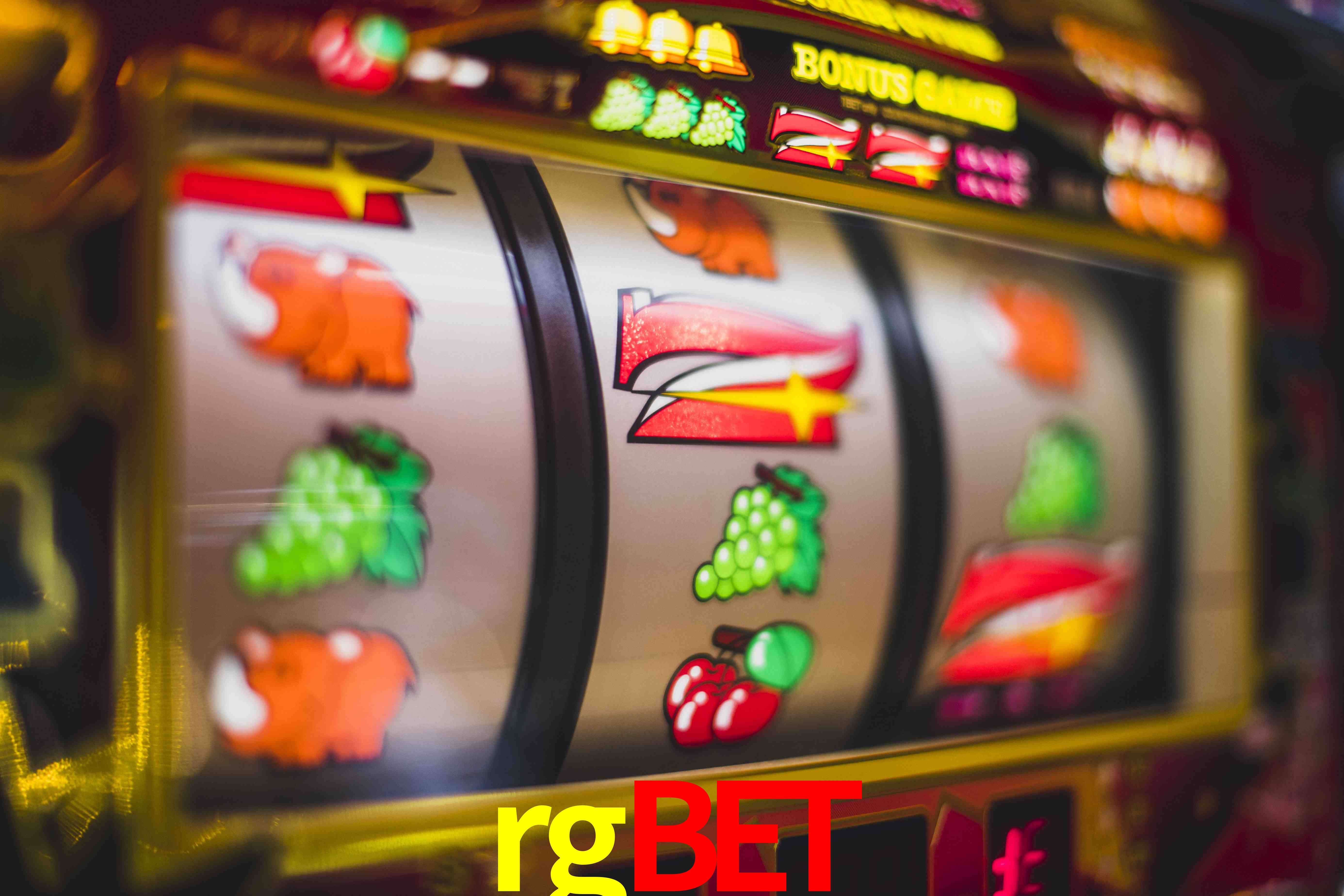 Sports Statistics rgbet